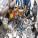 shutterstock_57418084